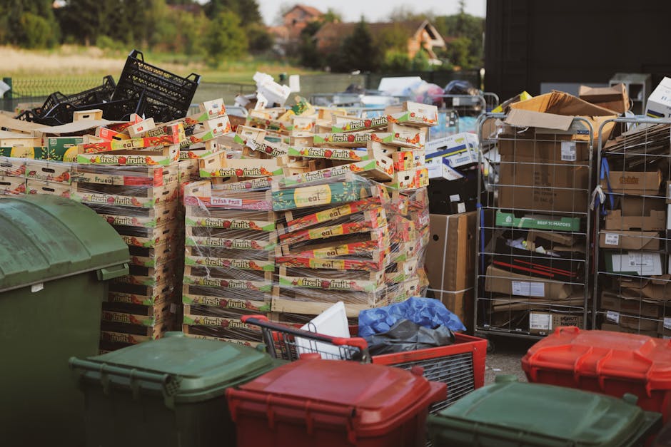 Haringey Council rules on bulky rubbish collection explained
